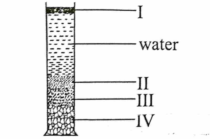 waec/wassce biology sedimentation of soil