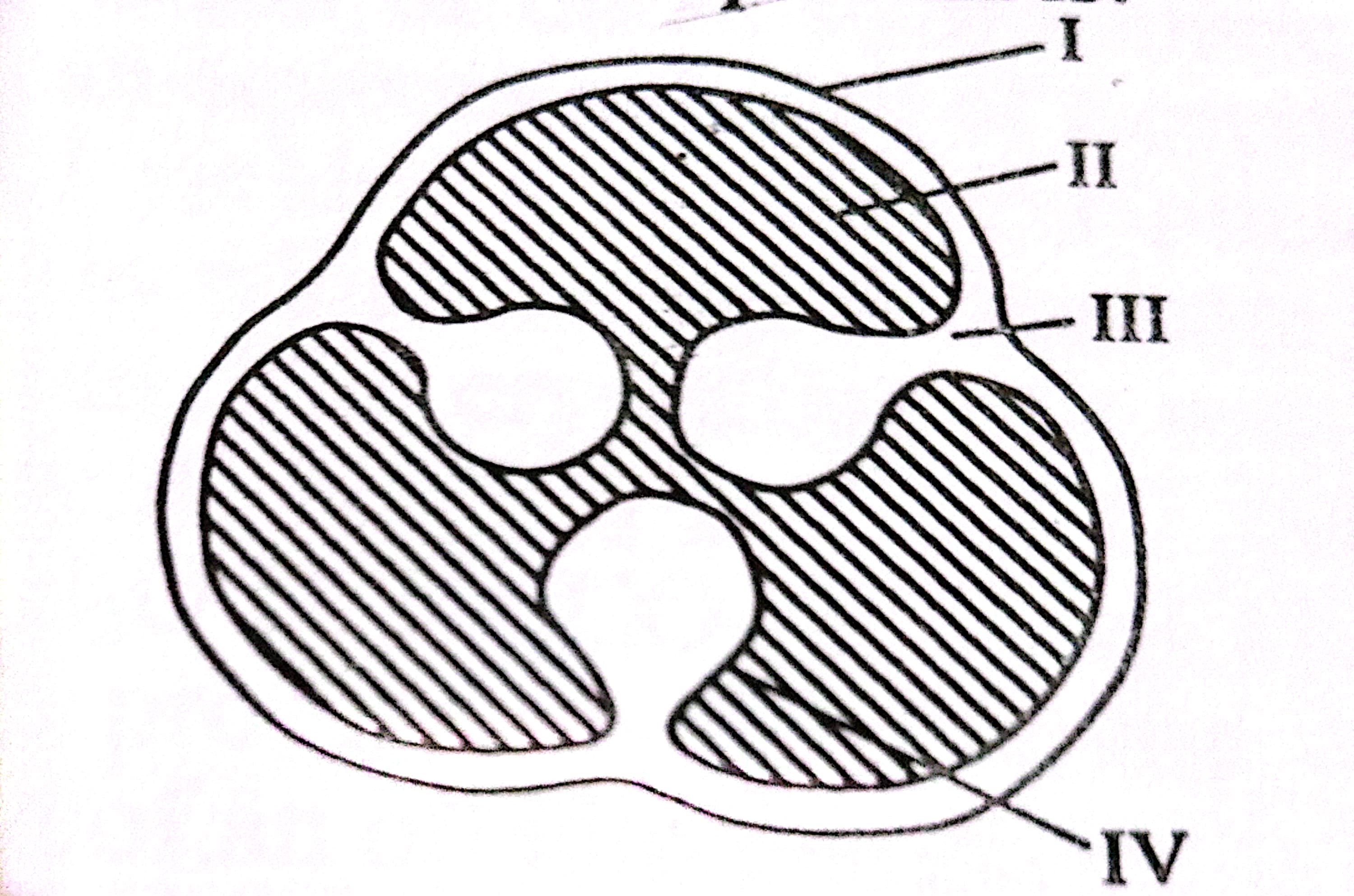 Ovule attachment Jamb 2023